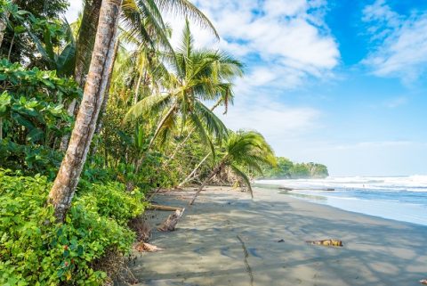 Costa Rica Self-Drive Family Adventure - a road trip your family will love