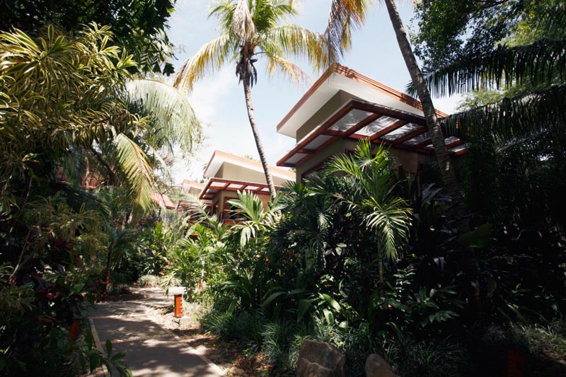 Hotel in rainforest 