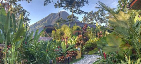 Now Coasta Rica Costa Rica is OPEN! 10 Good Reasons to Travel there Now